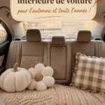 Intérieur de voiture décoré avec des accessoires automnaux chaleureux