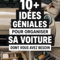 Aperçu d'une voiture bien organisée avec des accessoires de rangement pratiques et esthétiques.